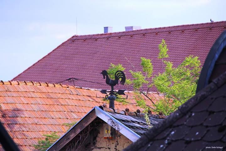 Rozmaringos Udvarhaz Dunafoldvar Exterior foto